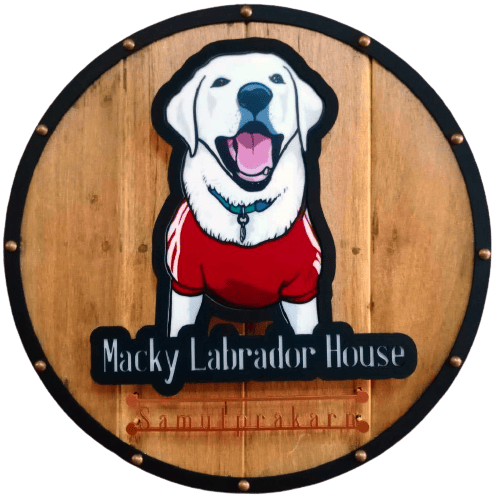 mackylabradors.com